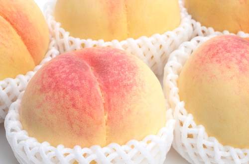 フルーツタカハシで栽培・販売を行う桃「清水白桃」の実